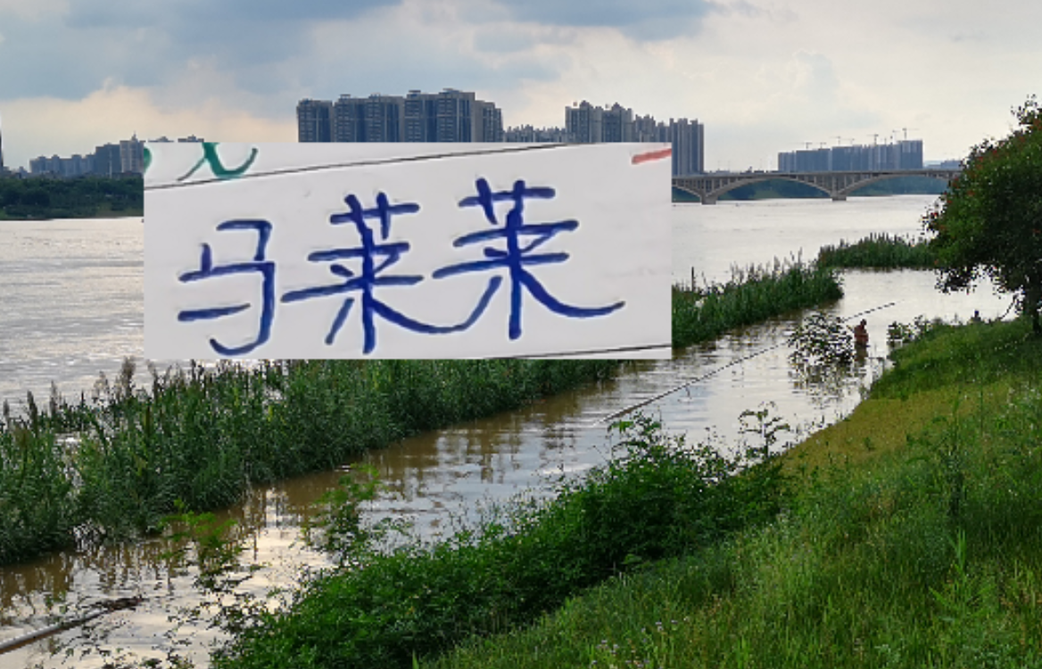 九游体育-如何防隔壁豪华版的马莱莱 是海港穆帅新赛季要应对的一个课题